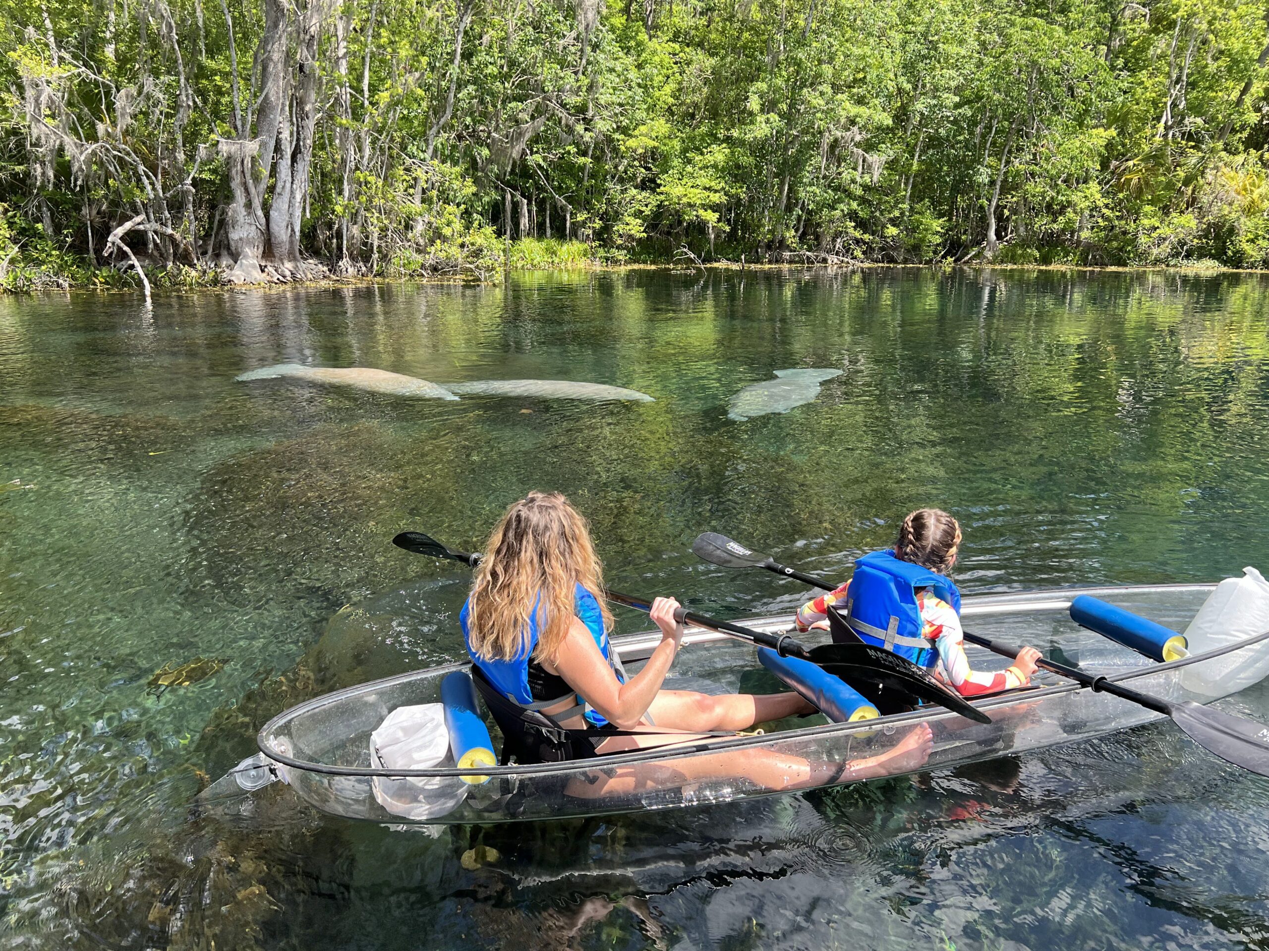 Silver Springs Kayak Tours & Kayak Rentals, Clear Kayaking