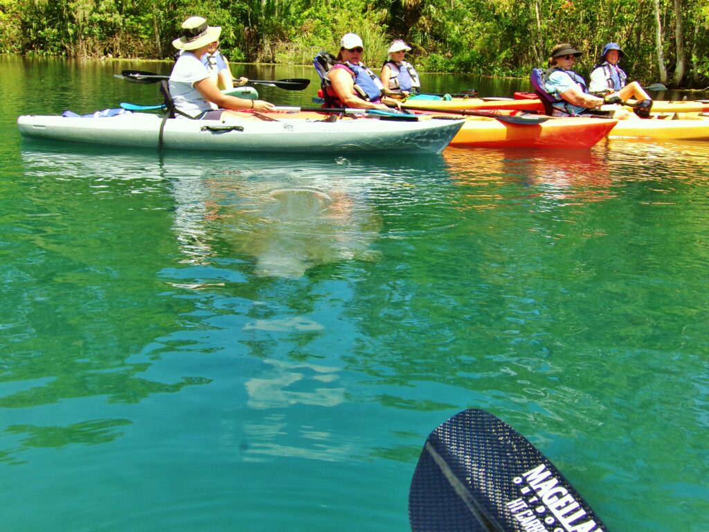 Kayak Rentals in Silver Springs