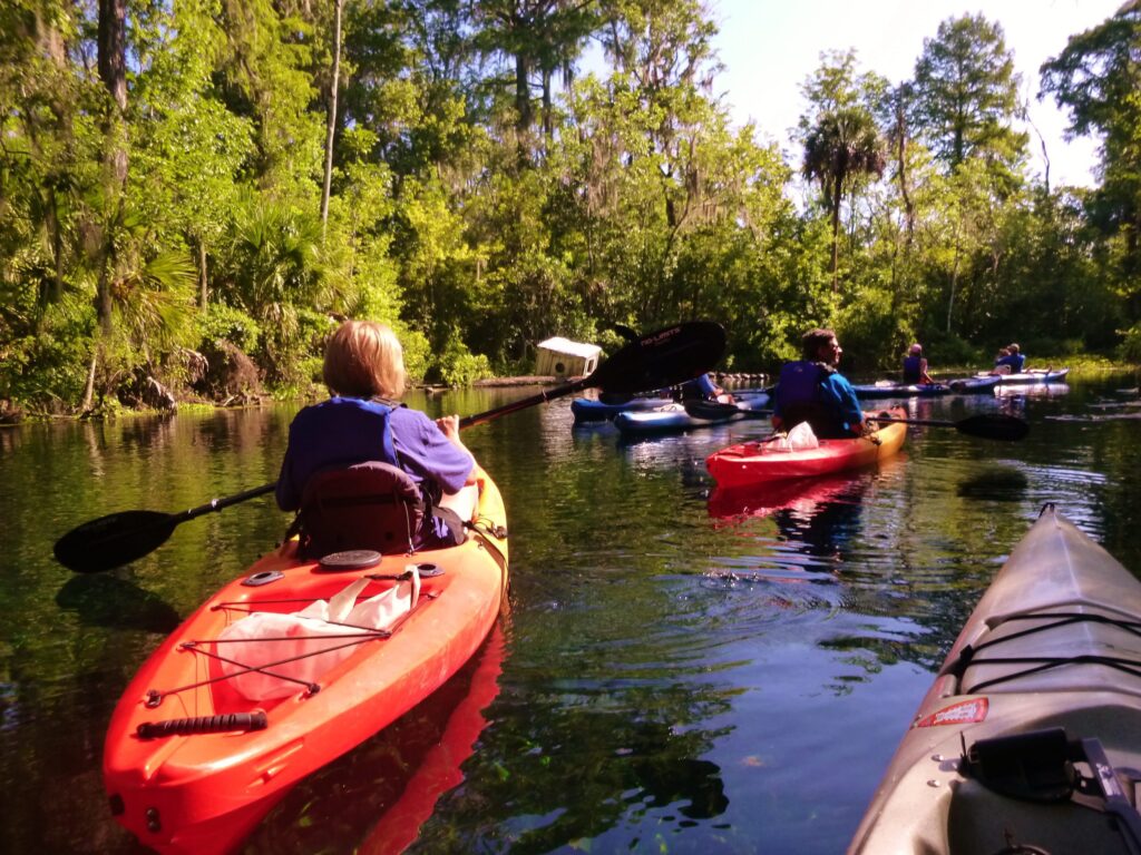 Kayaking Silver Springs