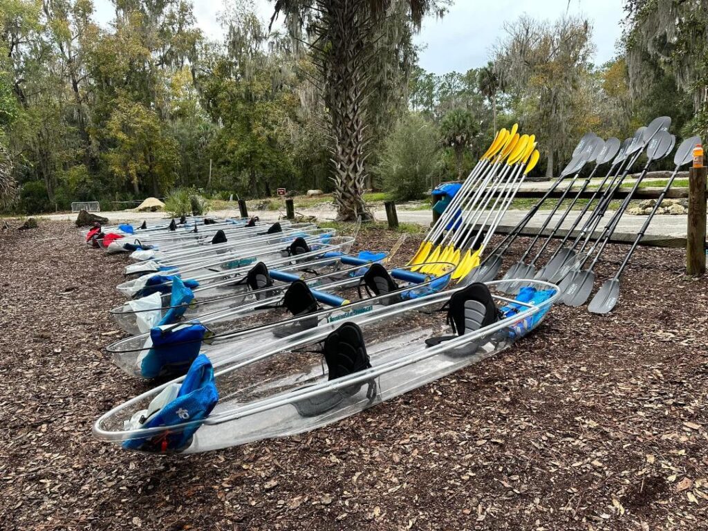 Kayak Rentals Silver Springs