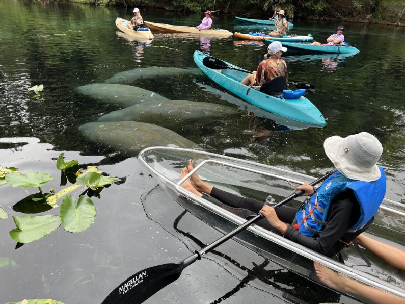 Silver Springs Clear Kayak Tours